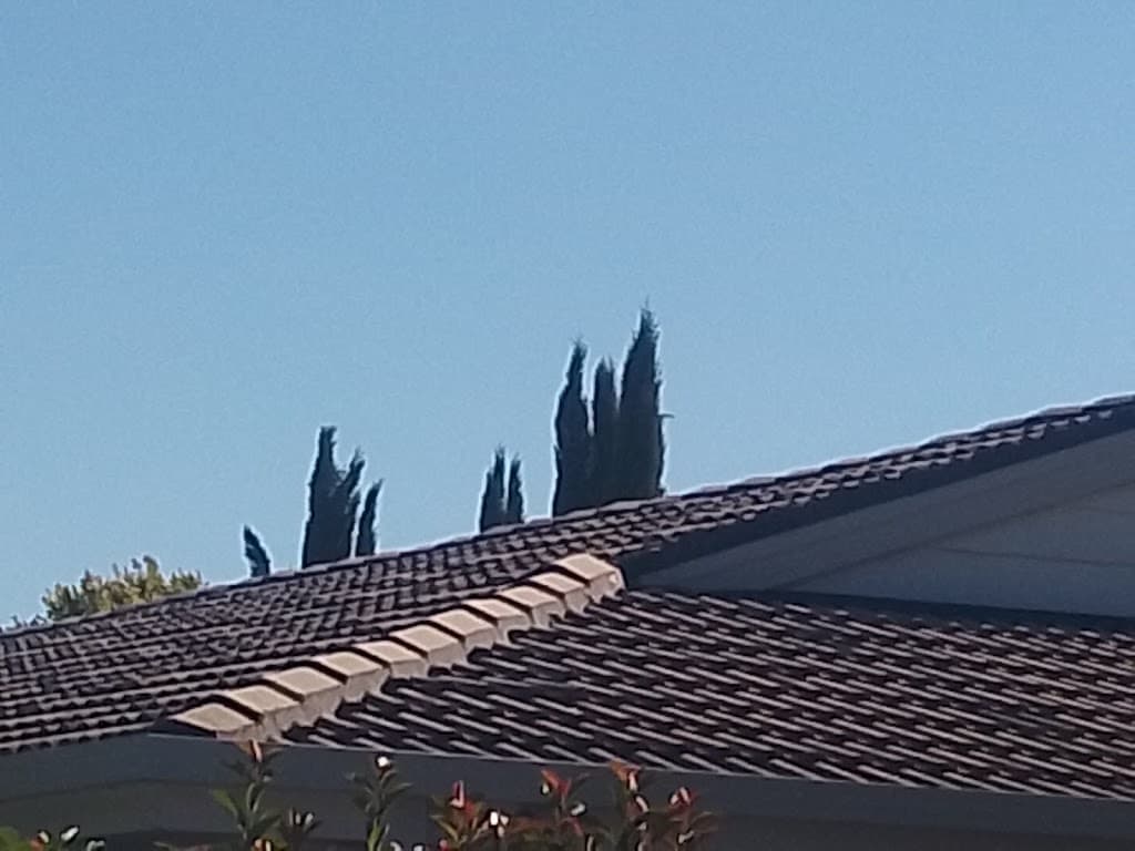 Bix's Roofing