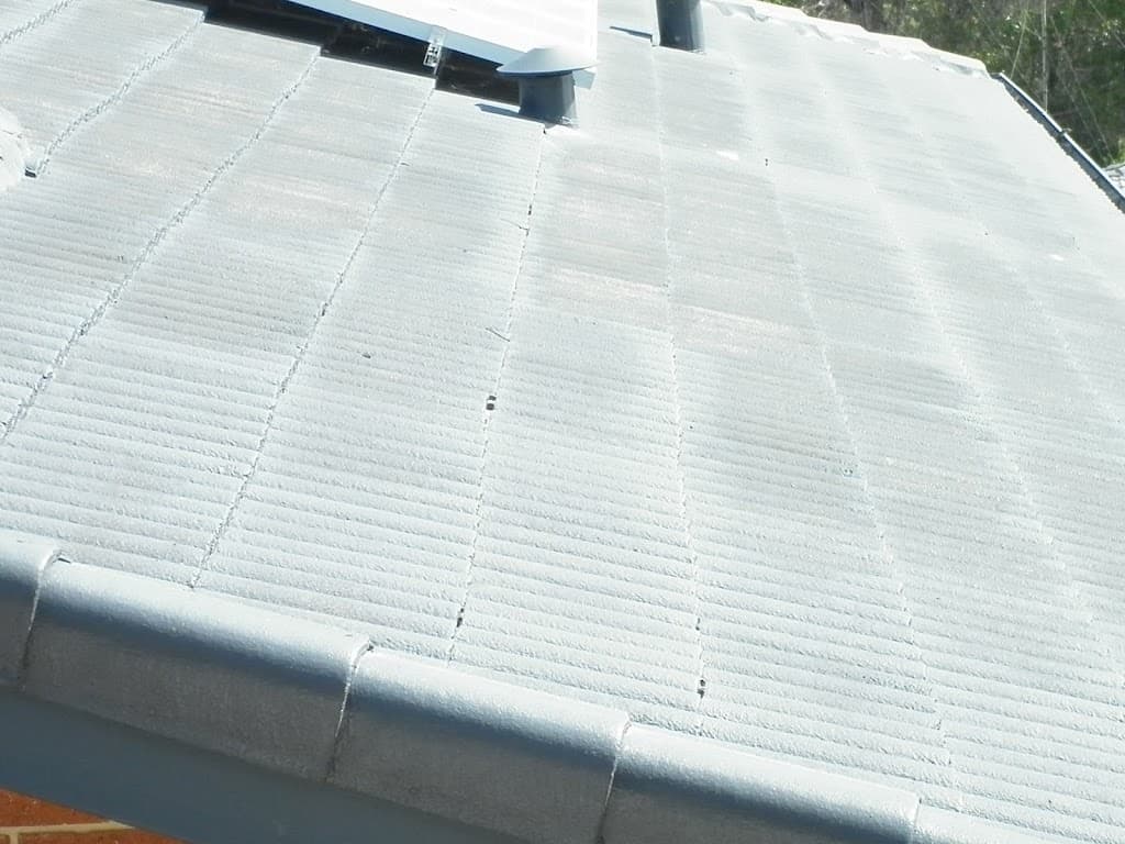 South West Roof Painters