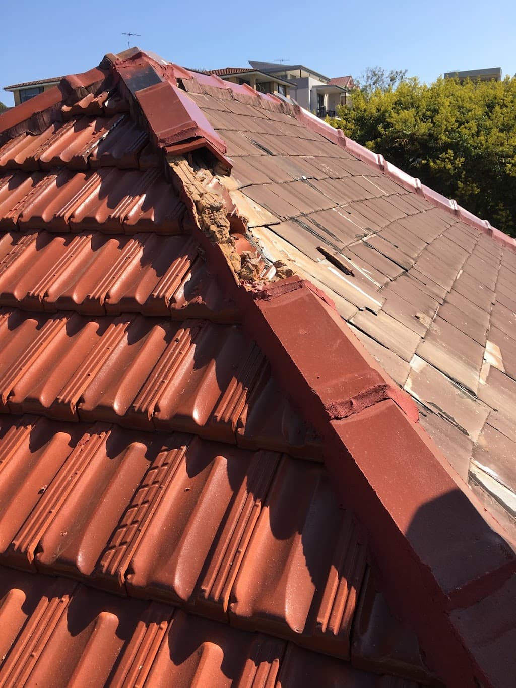 The Sydney Roof Doctor