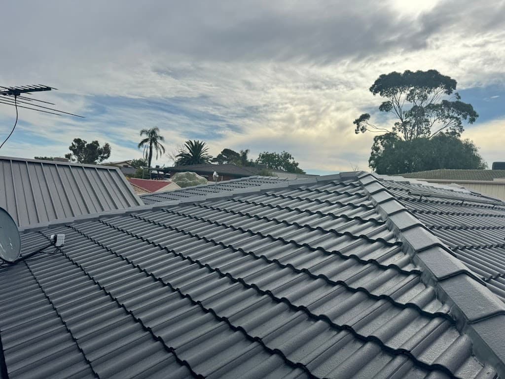 Dolphin Roofing Adelaide - Roof Leak Repairs , Restoration & Replacement