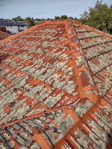 Local Roof Care — Customer photo