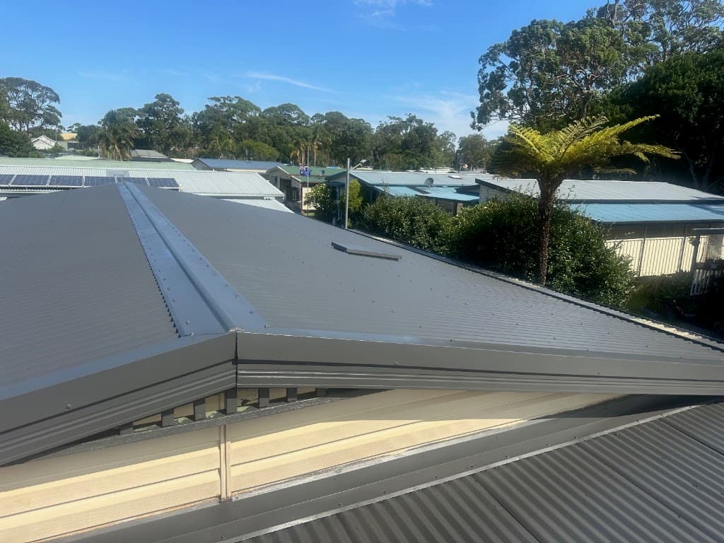 Roofs Gone Wild