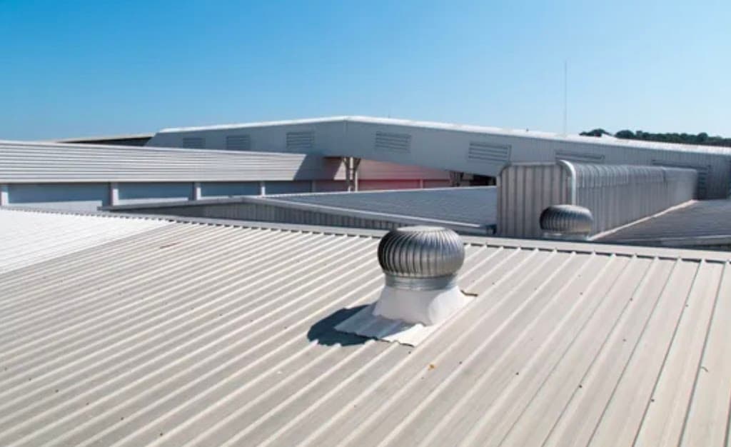 Top Roof NQ