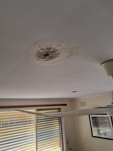 Geelong Home Maintenance — Customer photo